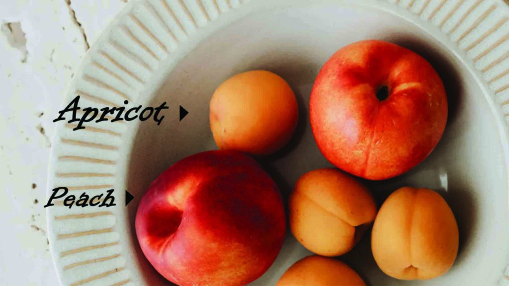 Apricot vs. Pеach