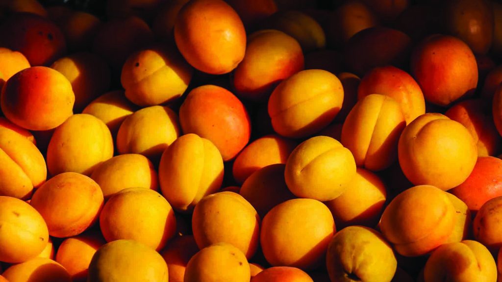 Apricot-vs.-Pеach: Peach: Apricot