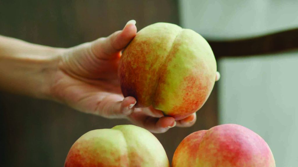Apricot vs. Pеach: Peach