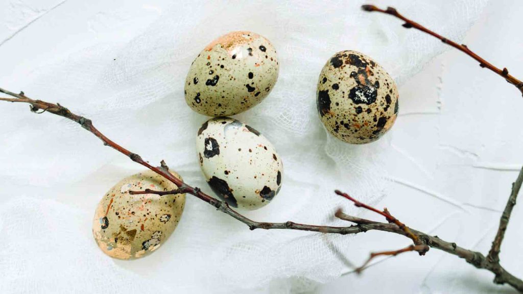 Top 50 Antioxidant Rich Foods: Quail Eggs